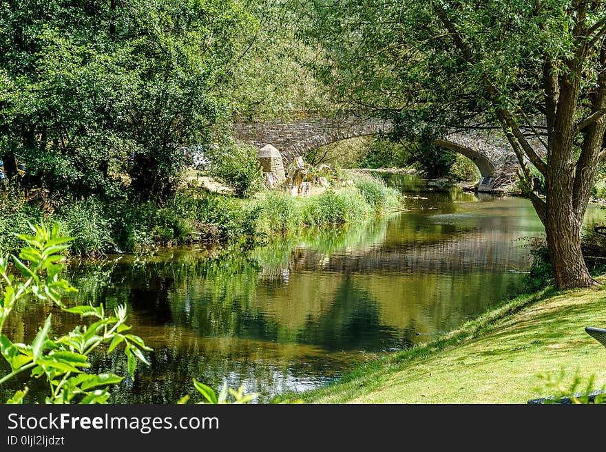 Vegetation, Nature, Water, Reflection