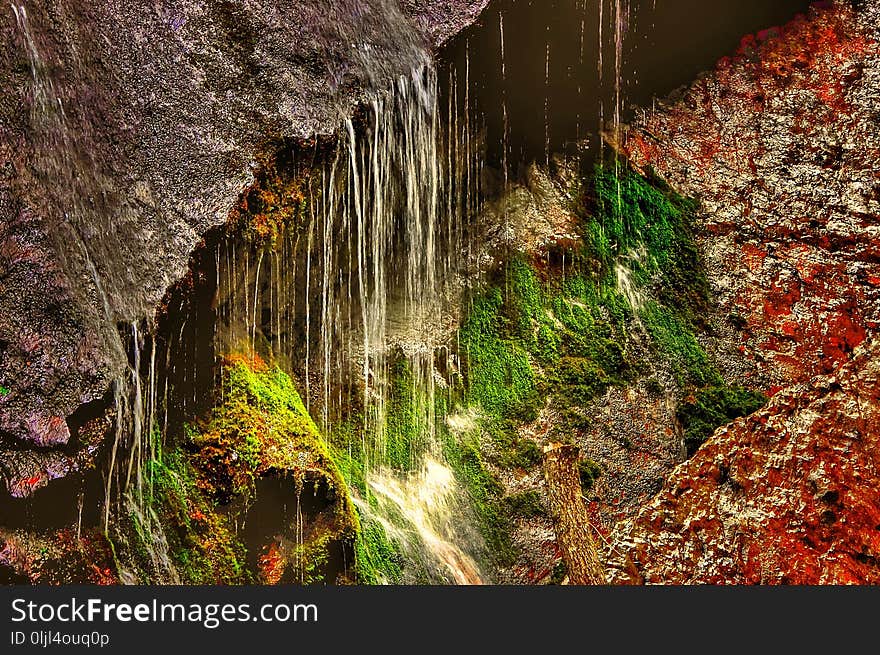 Water, Nature, Vegetation, Leaf