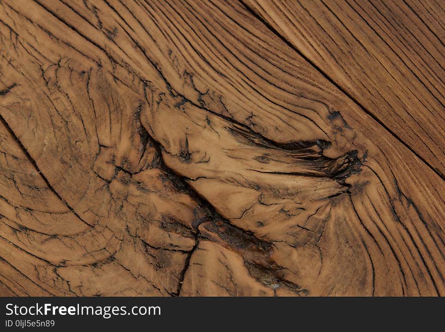 Wood, Close Up, Geology, Tree