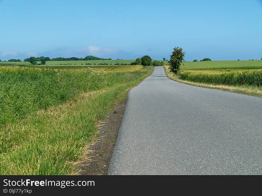 Road, Path, Field, Grassland