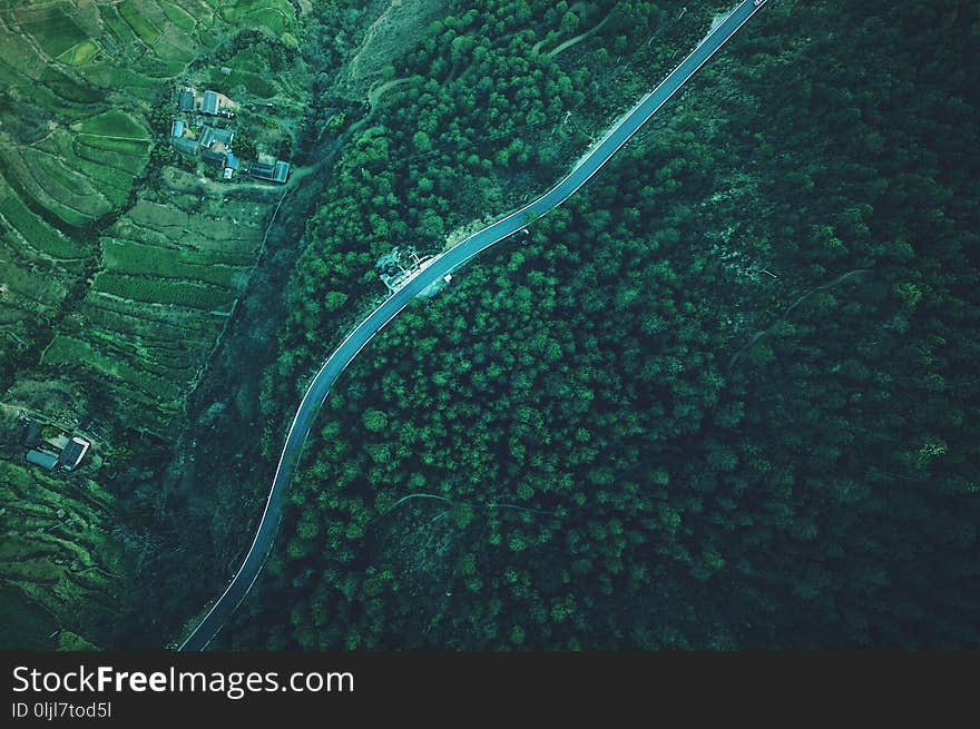 Water, Aerial Photography, Green, Reef