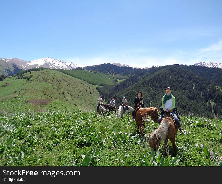 Mountainous Landforms, Trail Riding, Mountain, Wilderness