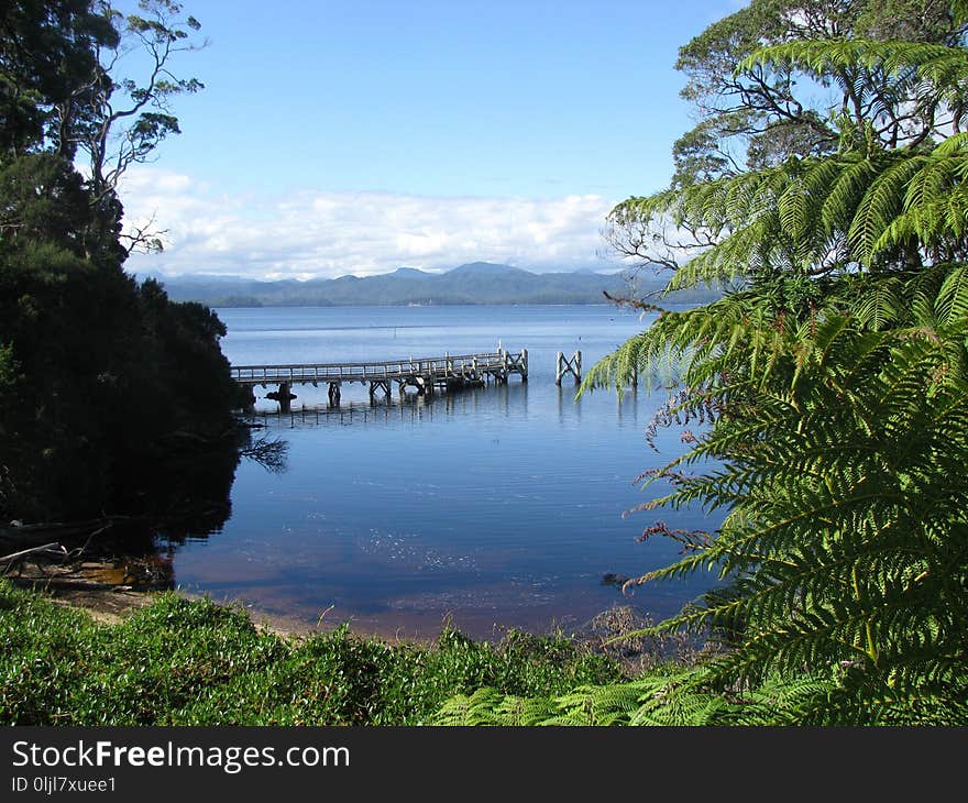 Nature, Body Of Water, Loch, Nature Reserve