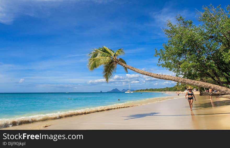 Sea, Caribbean, Sky, Shore