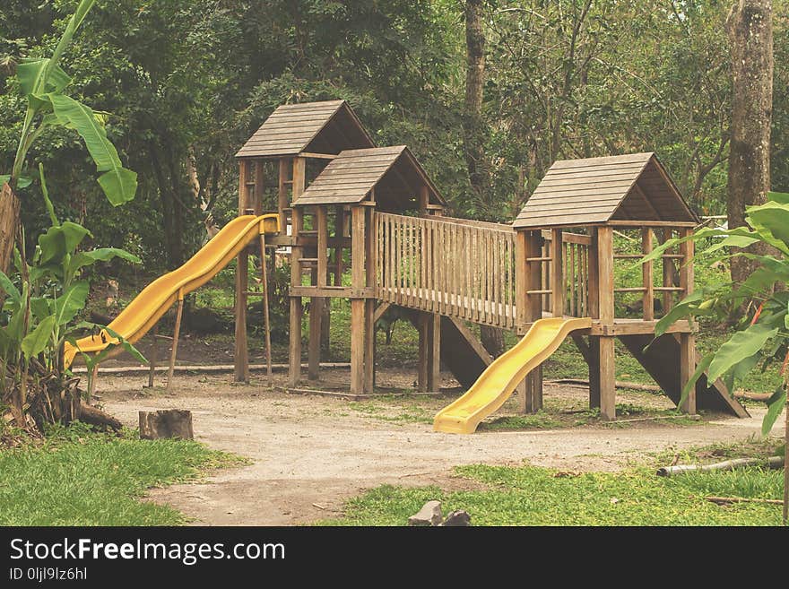 Public Space, Playground, Chute, Tree