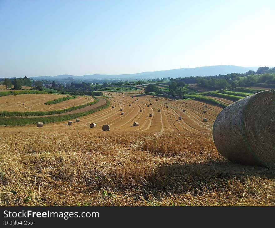 Field, Hay, Grassland, Agriculture