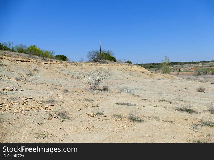 Ecosystem, Sky, Shrubland, Soil