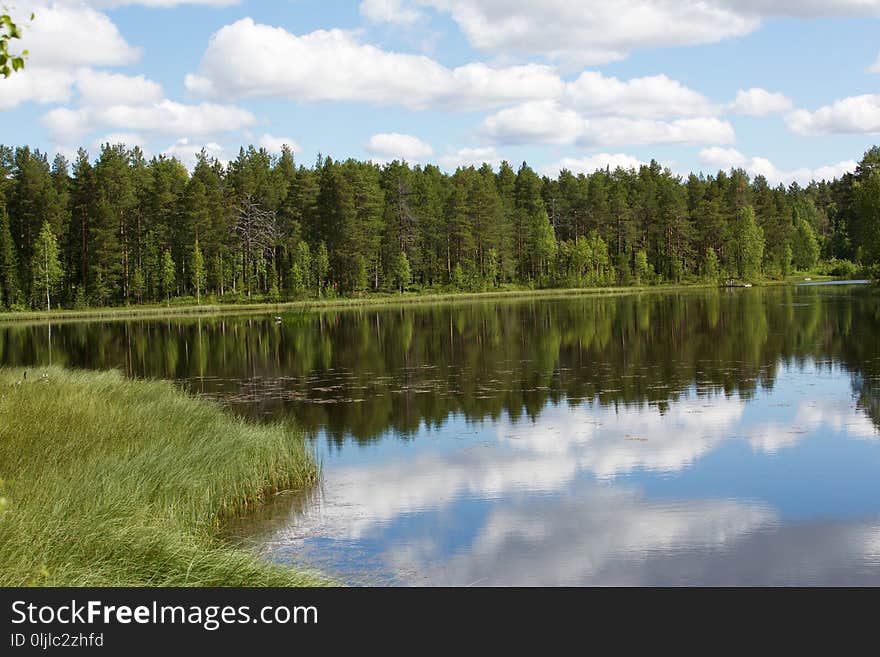 Reflection, Nature, Lake, Water