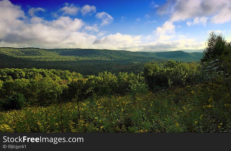 Sky, Vegetation, Ecosystem, Wilderness