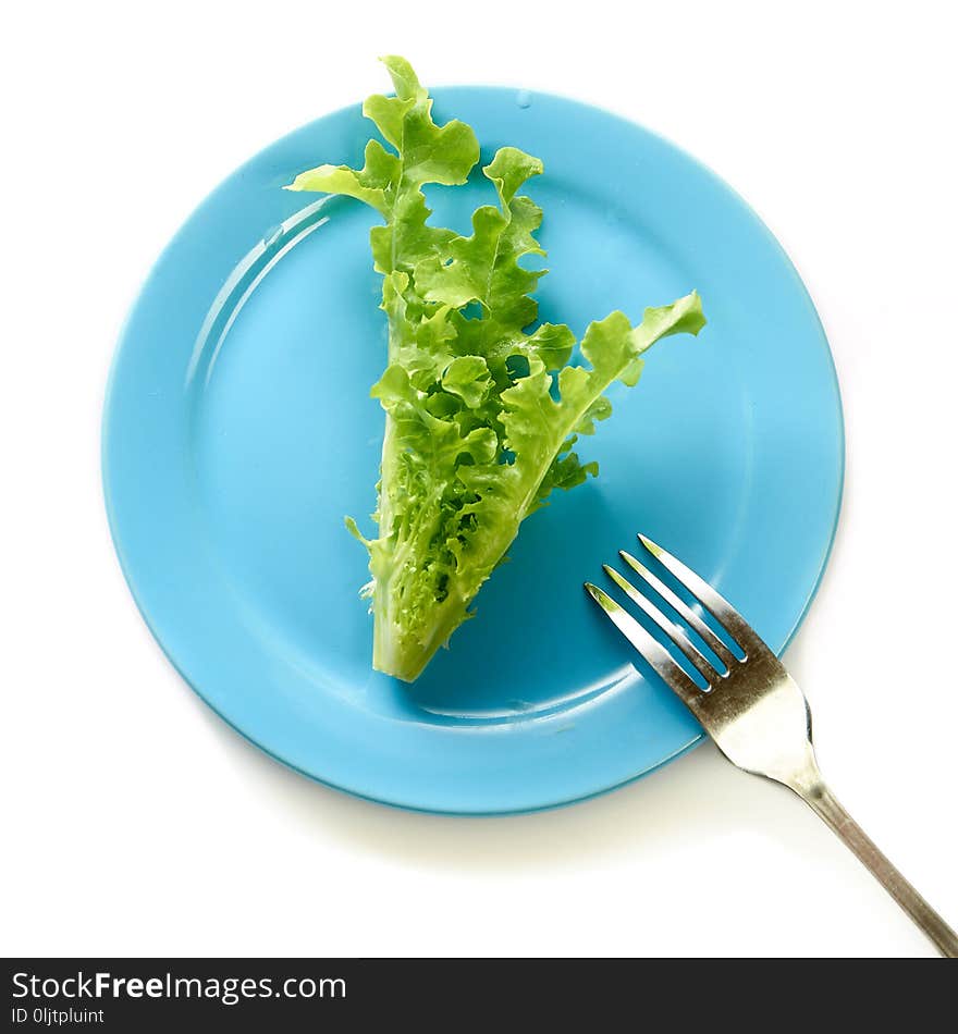 Green leaf salad on plate.