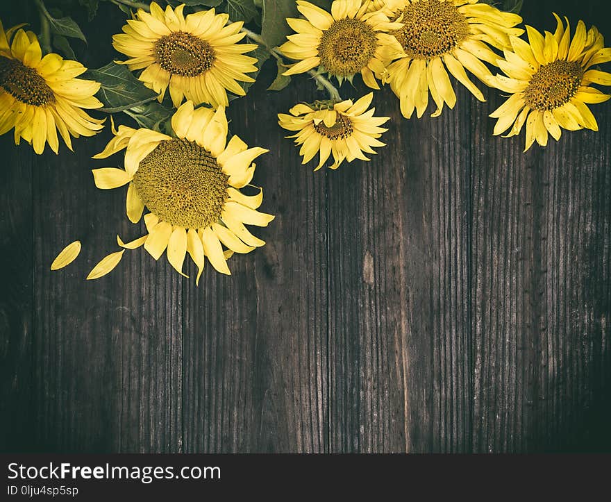 A bouquet of blooming yellow sunflowers on a brown wooden background, vintage toning, copy space