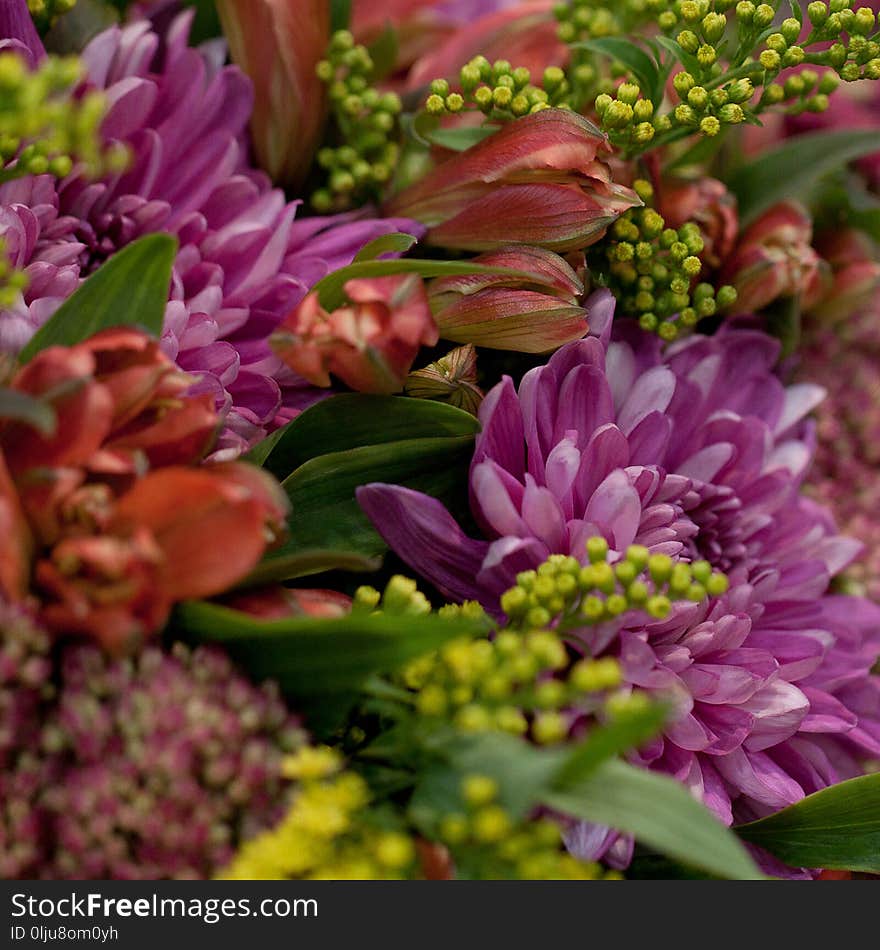 Beautiful bouquet beautiful and unusual flowers