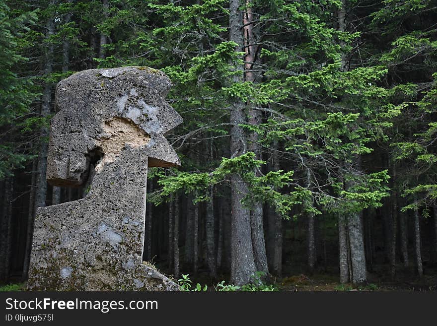 The tuff stone monument showing the effigy of the human head and the forest in the background,the Durmitor National Park