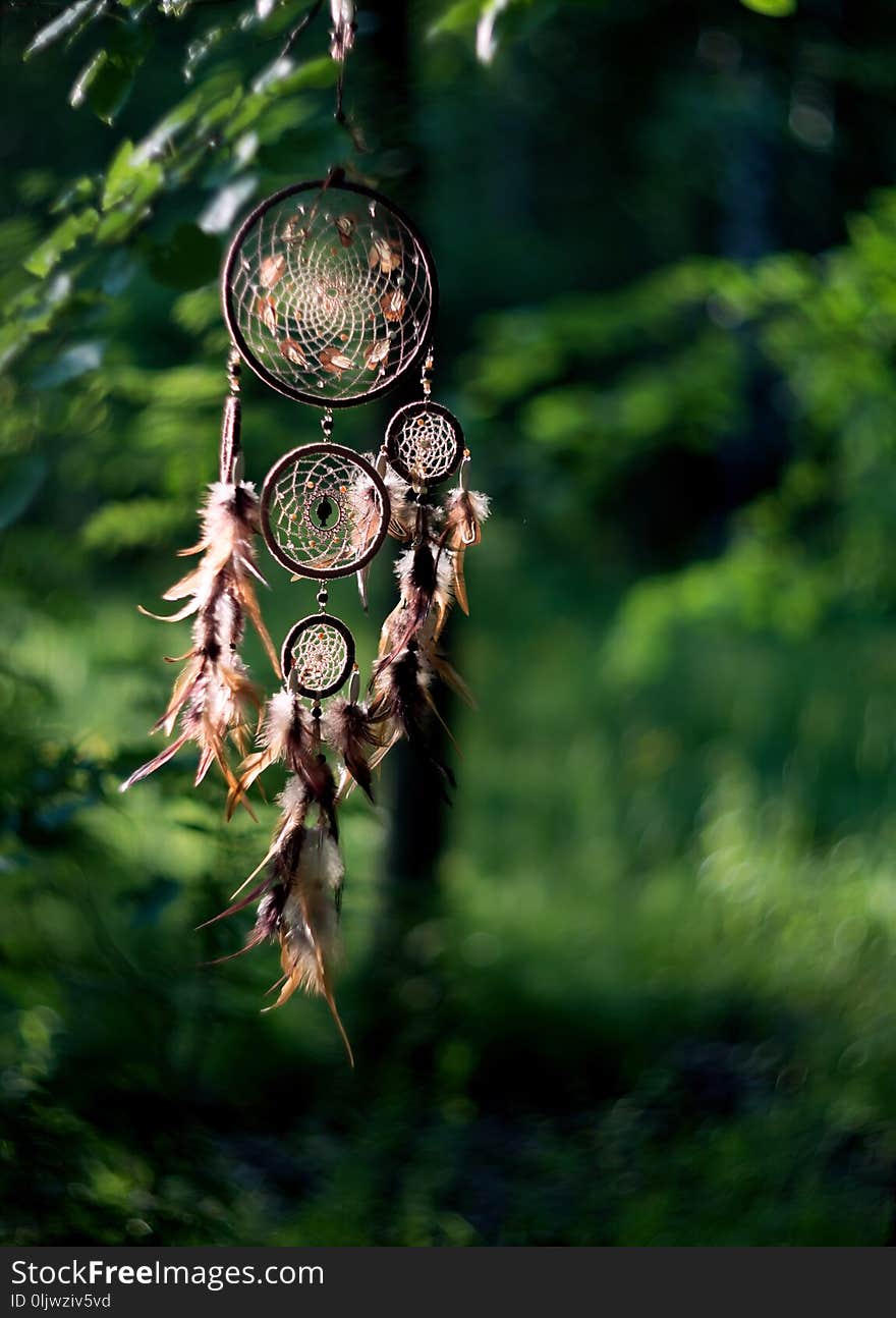 Dreamcatcher, american native amulet in forest. Shaman