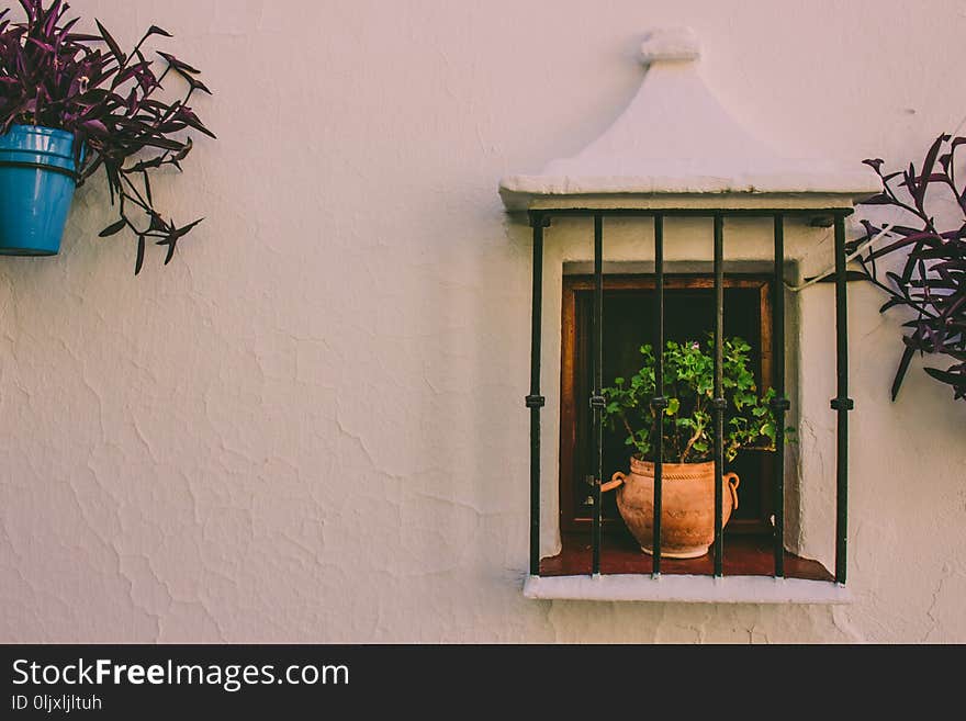 Window. Window with a flower pot on a white wall. Mijas, Andalusia, Spain.