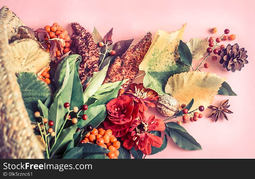 Autumn leaves and flowers on a pink background