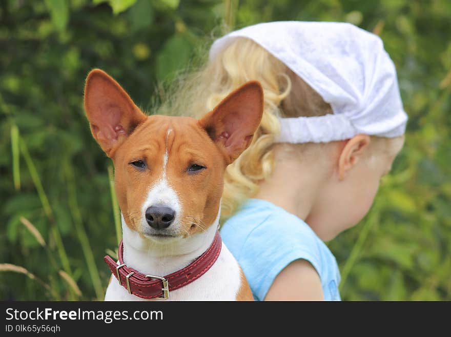 Little girl and a dog are sitting with their backs to each other, quarreled friends. Little girl and a dog are sitting with their backs to each other, quarreled friends