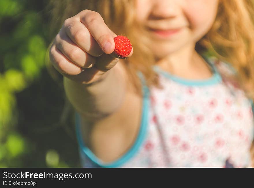 Beautiful girl with long hair, the child collects in the can and eat, berry raspberry summer Sunny day. Beautiful girl with long hair, the child collects in the can and eat, berry raspberry summer Sunny day