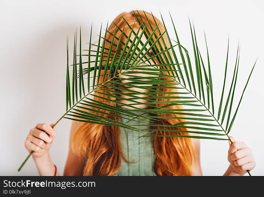 Studio shot of adorable red-haired preteen kid girl, wearing khaki dress, hiding behind exotic green palm leaves. Studio shot of adorable red-haired preteen kid girl, wearing khaki dress, hiding behind exotic green palm leaves