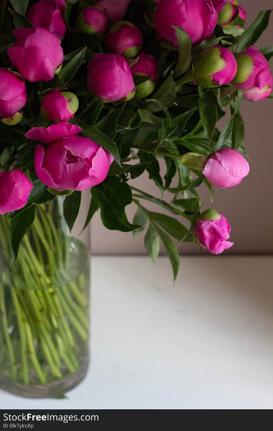 Large bouquet of pink peonies in a transparent vase on a light background. Large bouquet of pink peonies in a transparent vase on a light background