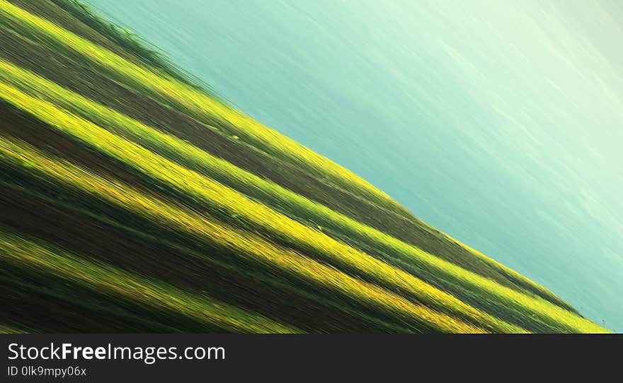 Green, Yellow, Grass, Sky