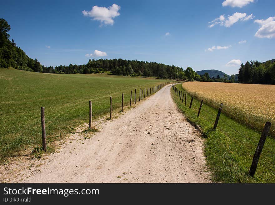 Road, Grassland, Sky, Field