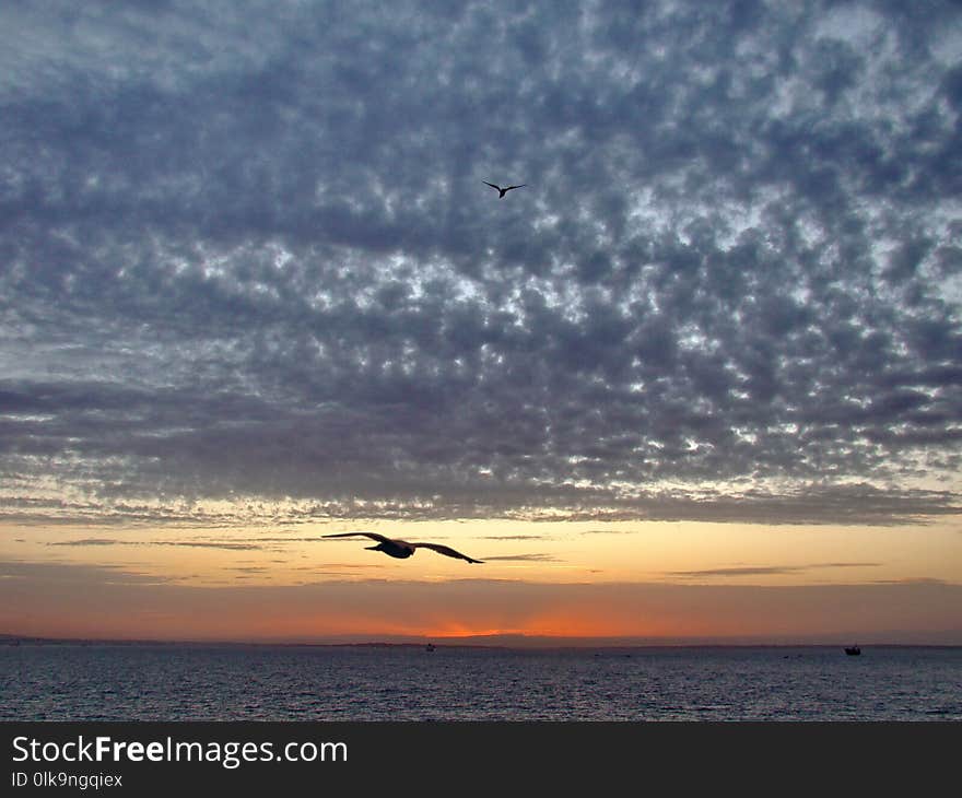 Sky, Horizon, Sea, Ocean