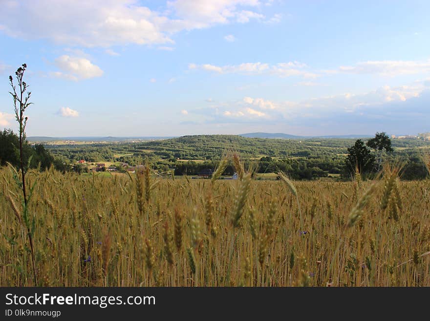 Ecosystem, Sky, Grassland, Prairie