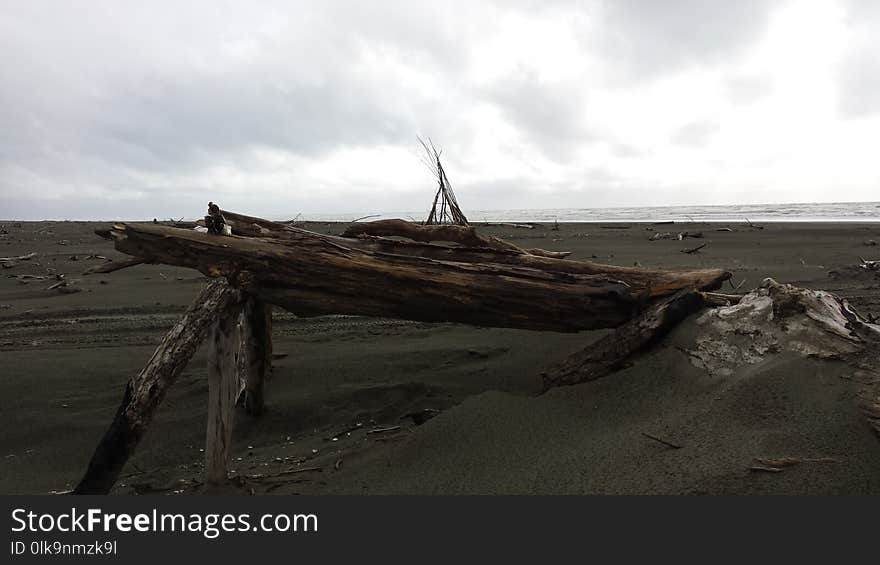 Sea, Shore, Coast, Wood