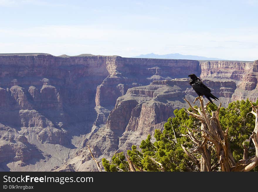 Canyon, National Park, Rock, Escarpment