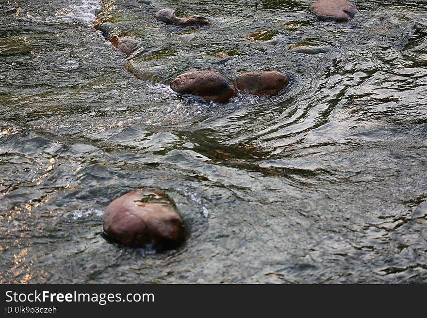 Water, Rock, Organism, River