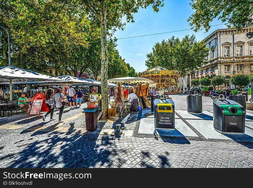 Public Space, Tree, City, Plant