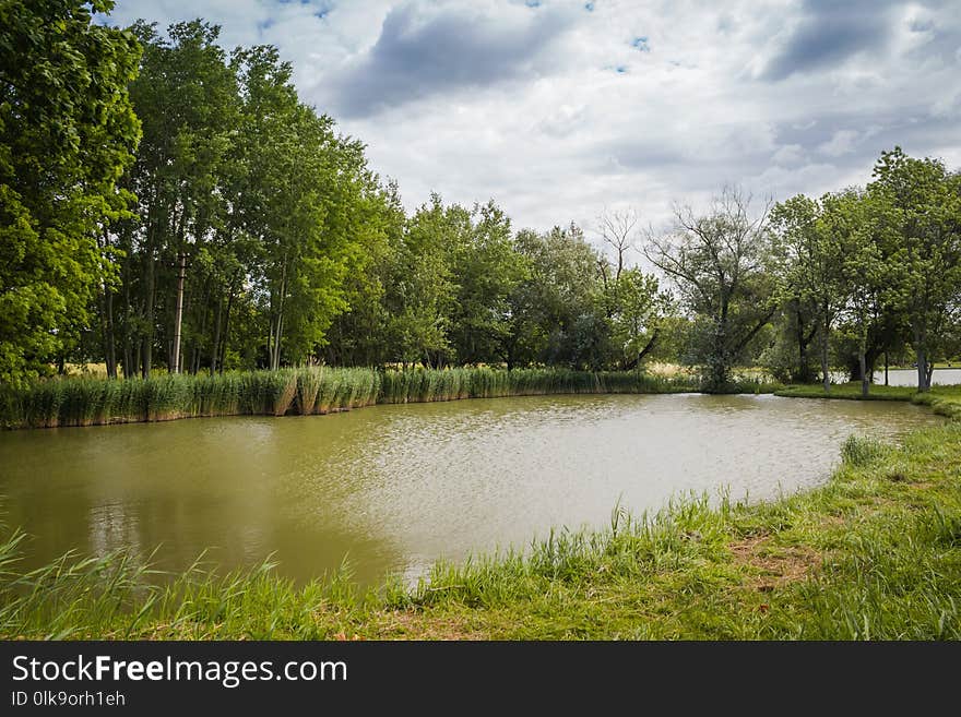 Waterway, Water, Nature, Reflection