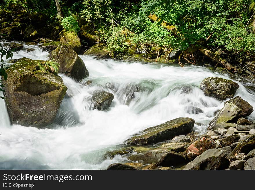 Water, Nature, Stream, Watercourse