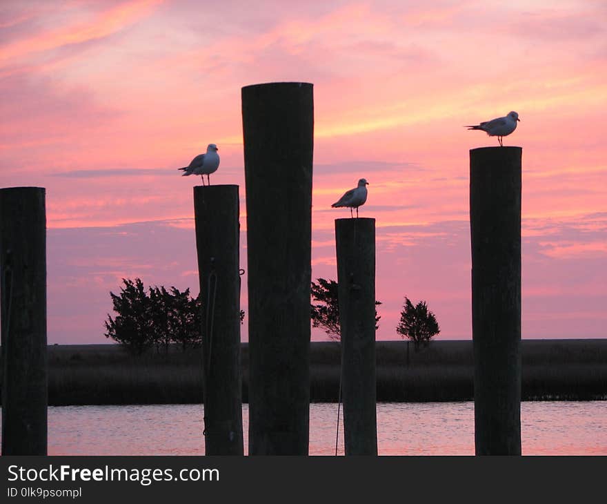 Sky, Column, Sunset, Sunrise