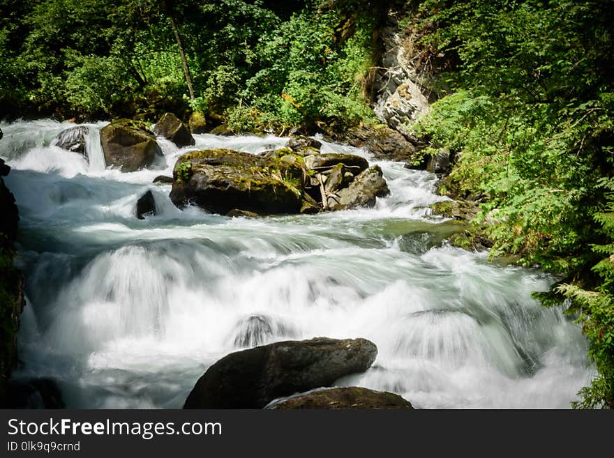 Water, Stream, Nature, Watercourse