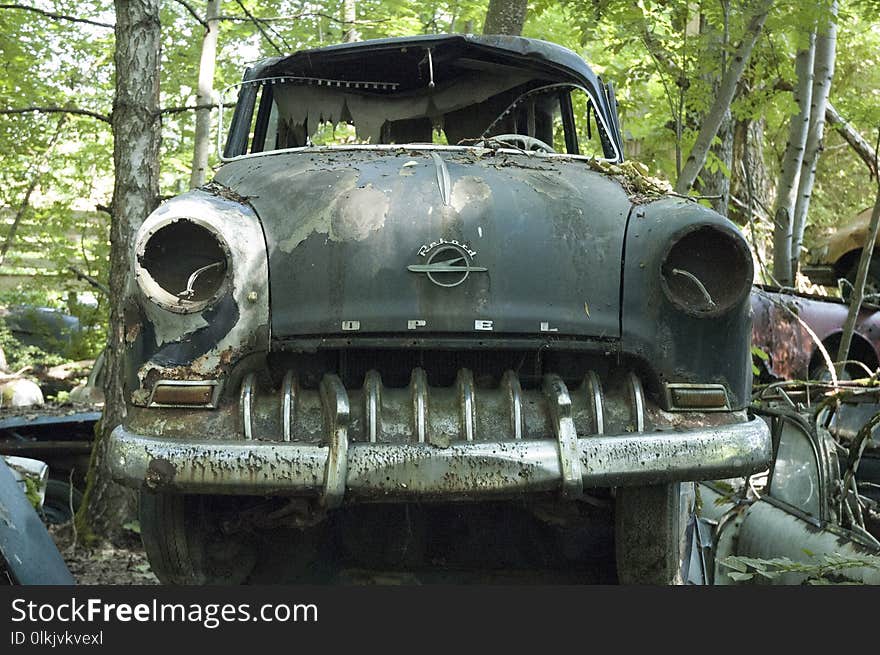 Motor Vehicle, Car, Vehicle, Vintage Car