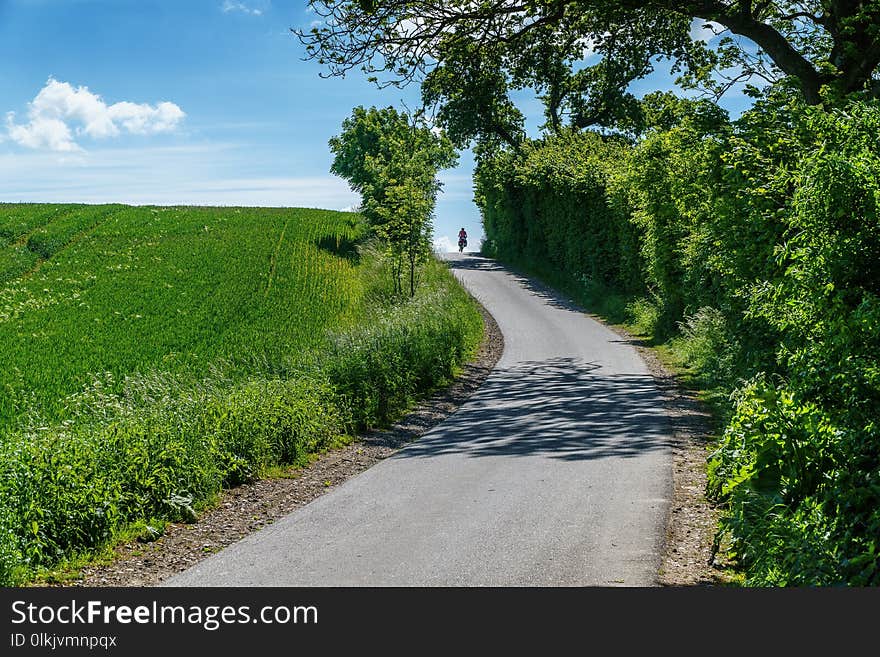 Road, Path, Green, Sky