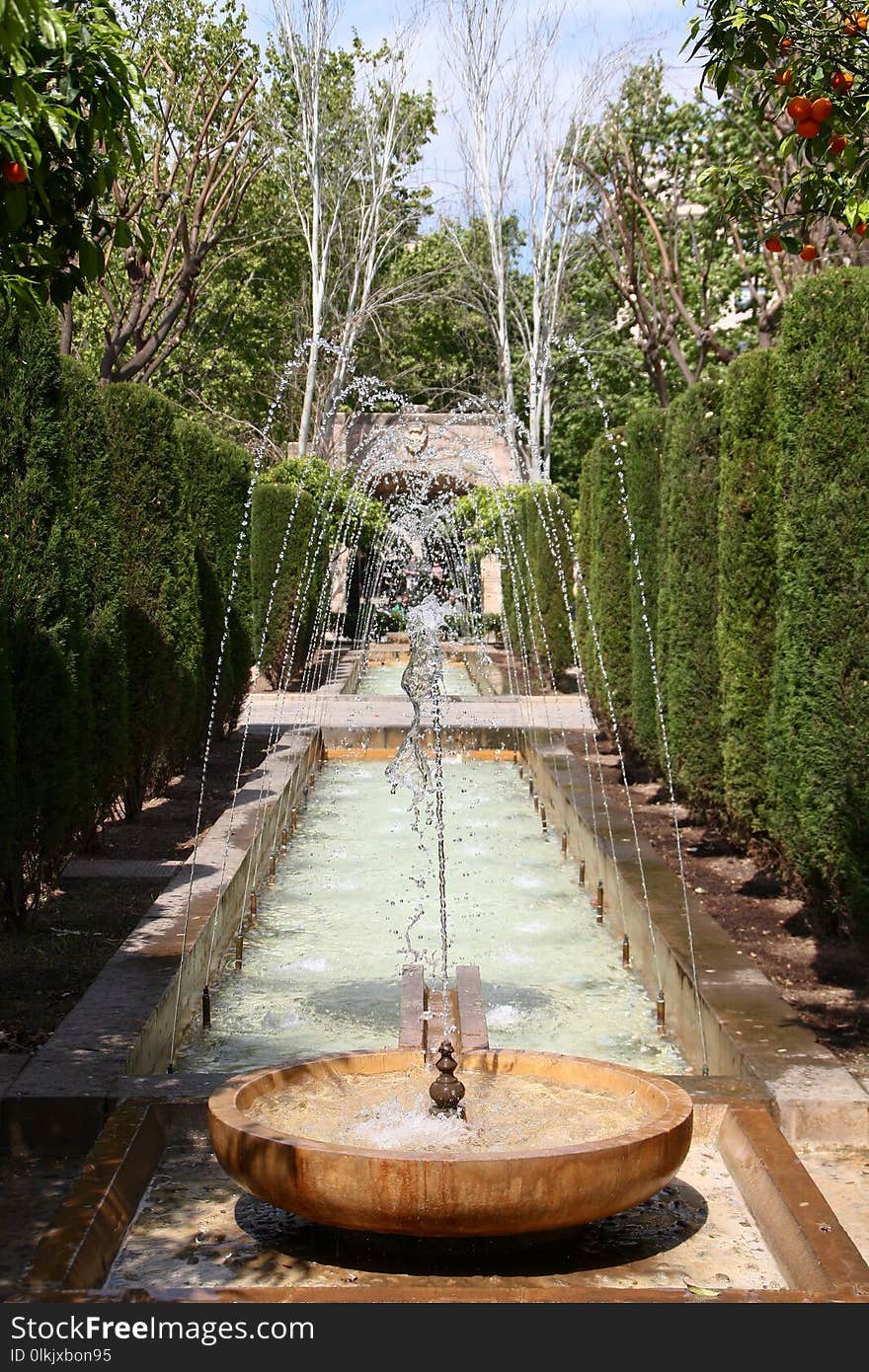 Water, Tree, Water Feature, Fountain