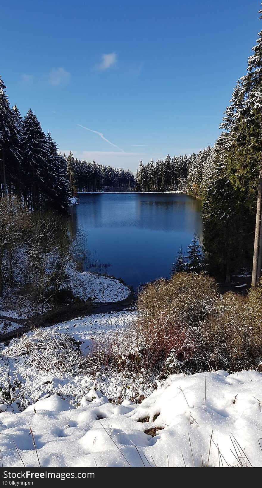 Winter, Snow, Reflection, Water