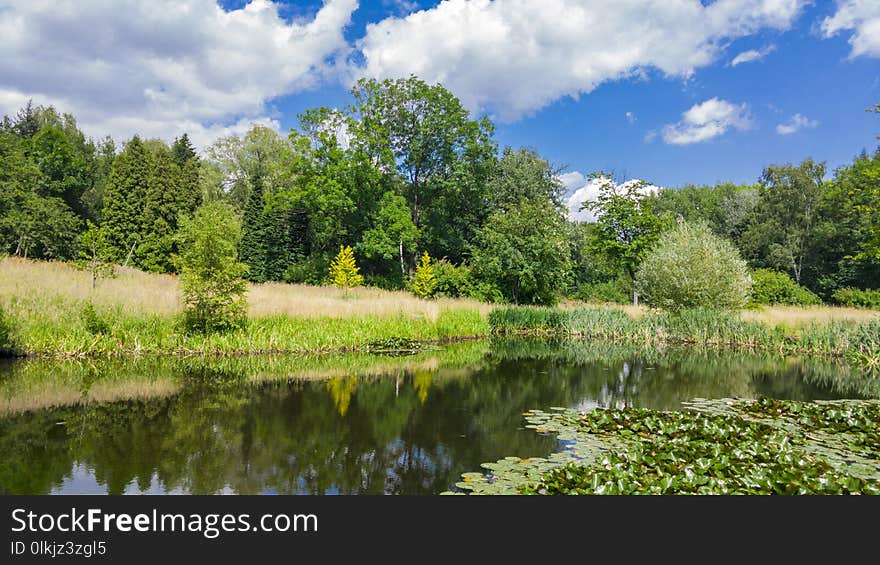 Reflection, Nature, Water, Nature Reserve