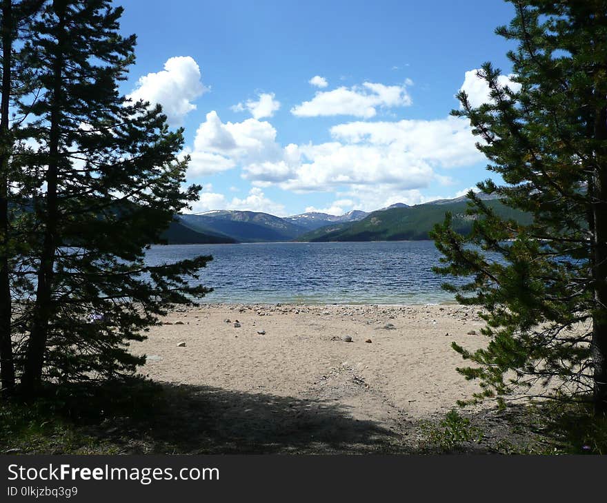 Lake, Wilderness, Loch, Nature Reserve