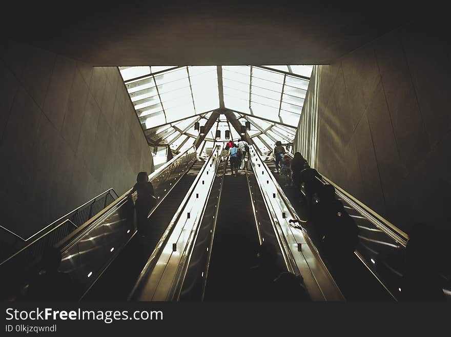 Silhouettes of people coming from the escalator.