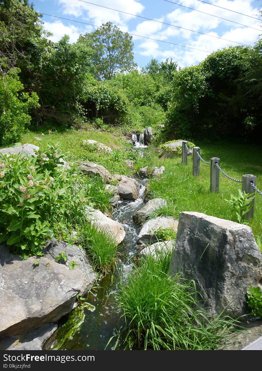 Vegetation, Nature Reserve, Garden, Watercourse