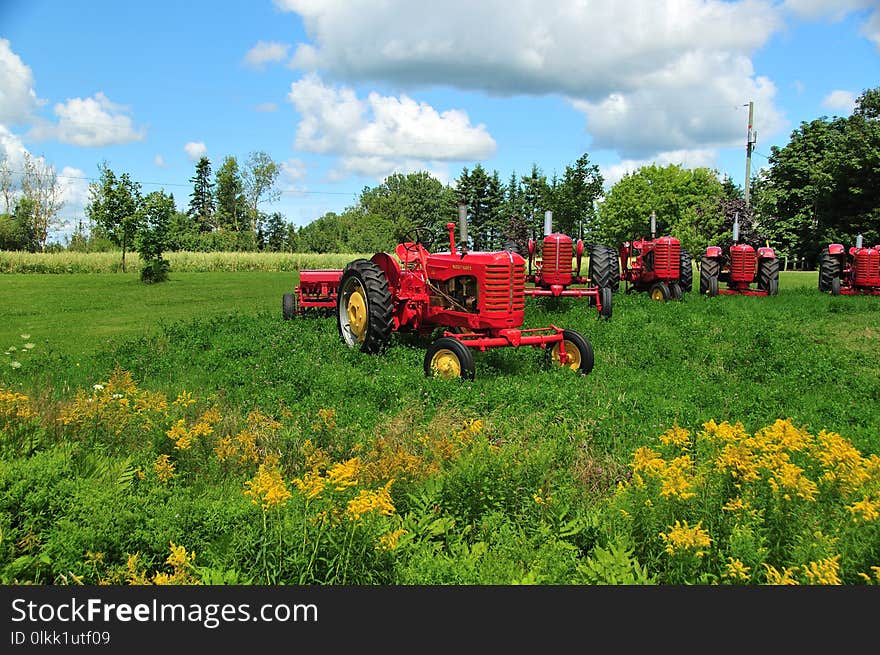 Grassland, Field, Agriculture, Farm