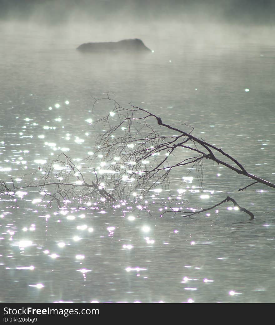 Water, Reflection, Freezing, Branch