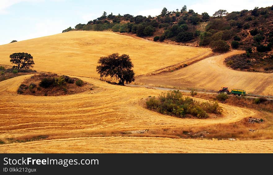 Ecosystem, Soil, Hill, Road