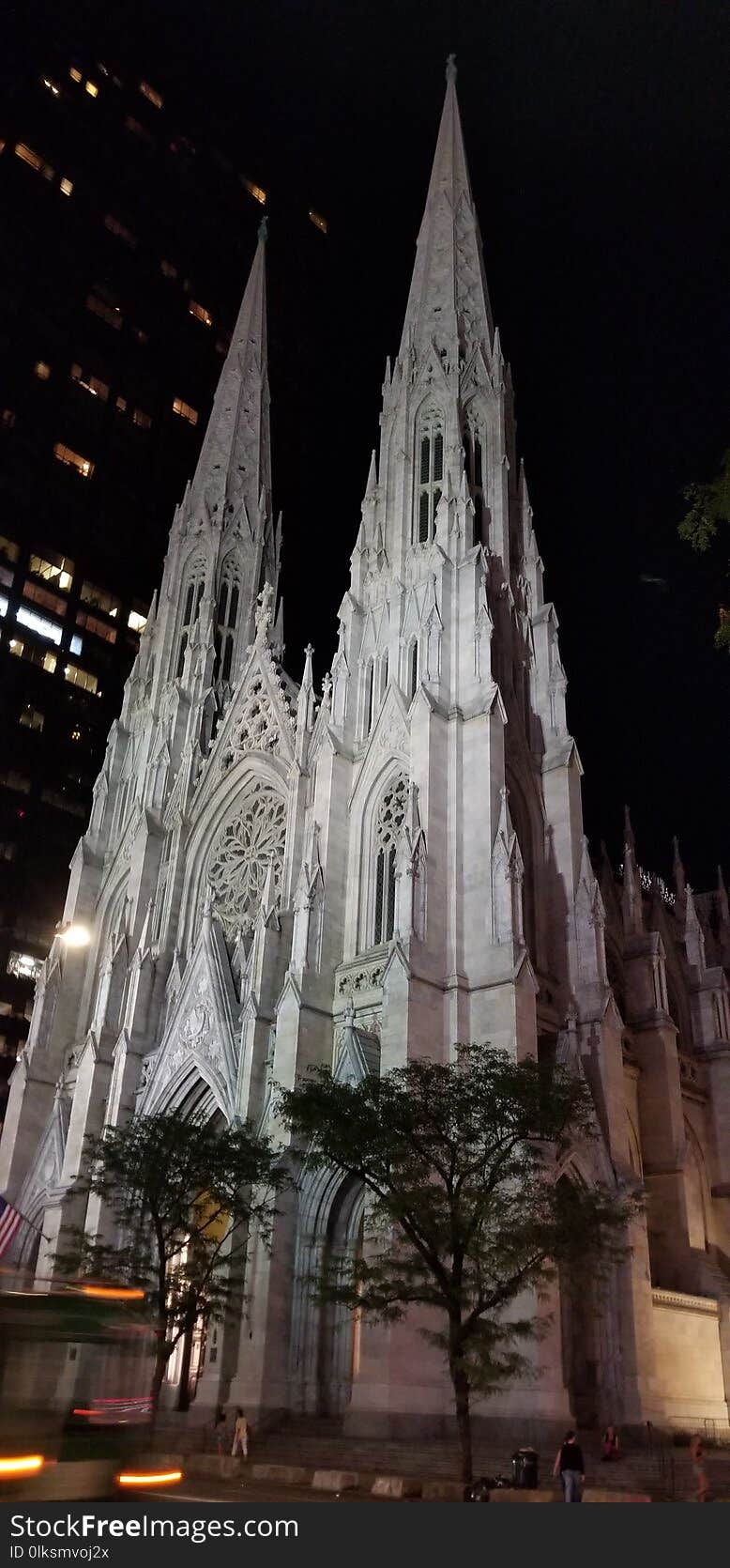 Cathedral at night