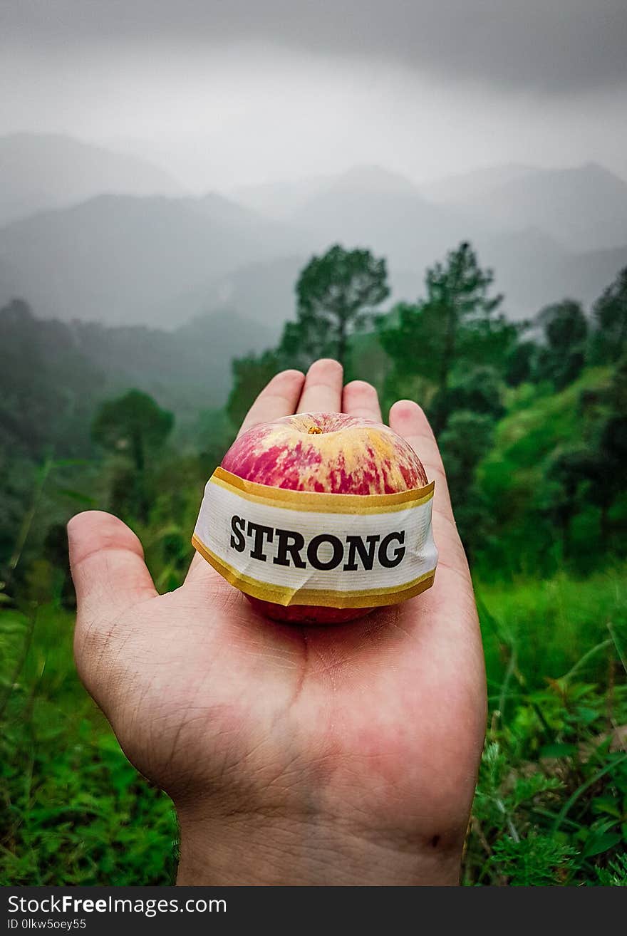 A storng himachali apple