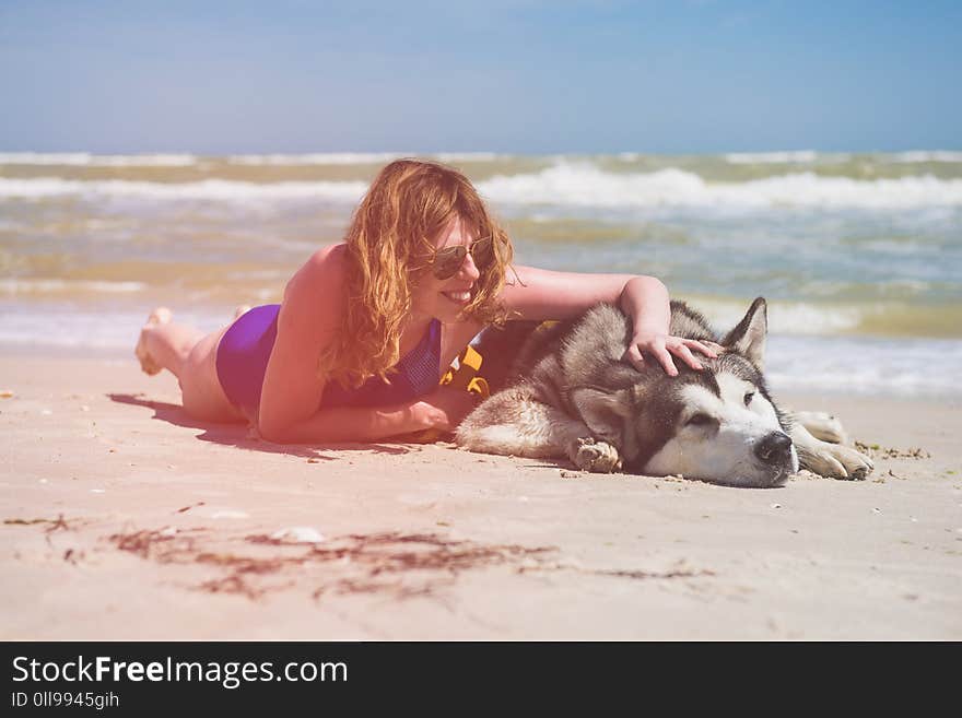 Woman Put Hand At Husky Dog At Beach